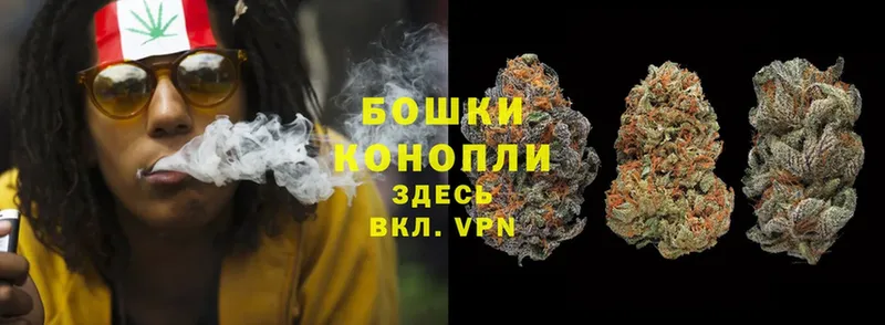 Бошки Шишки THC 21%  Орёл 